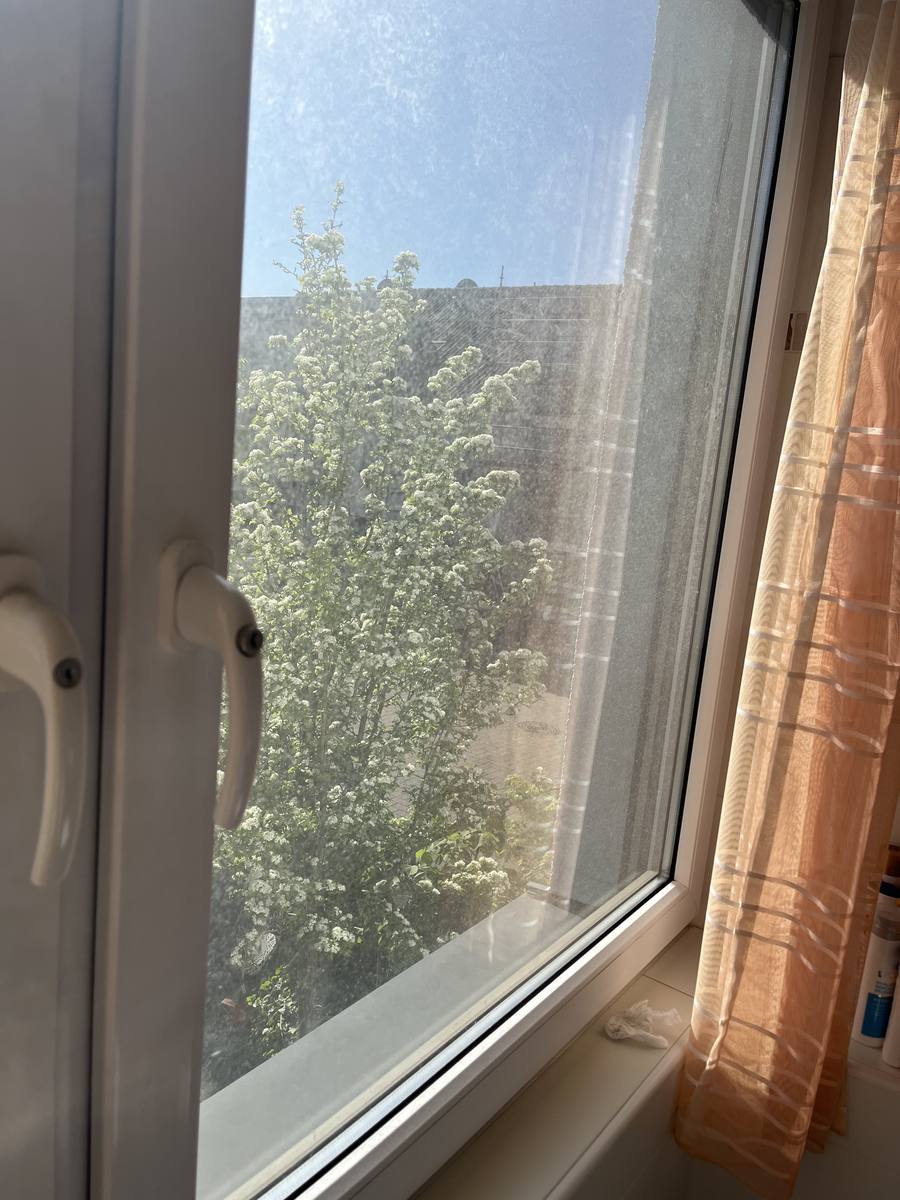 Fenster vorher